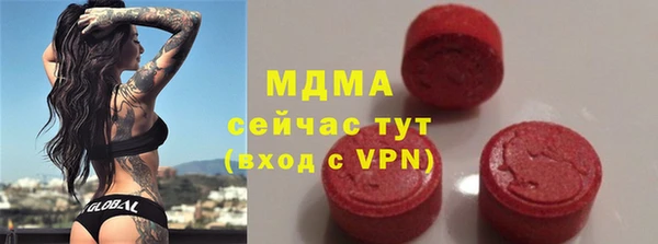 молекула духа Богородицк
