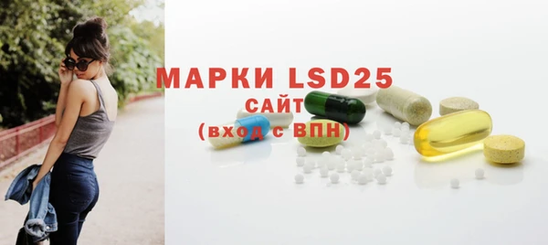 ECSTASY Бородино