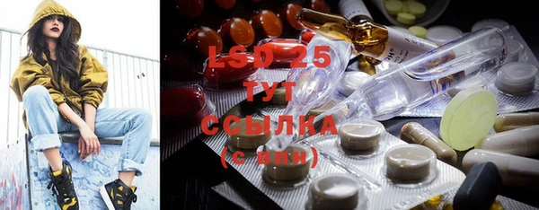 ECSTASY Бородино