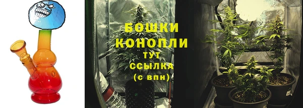 ECSTASY Бородино