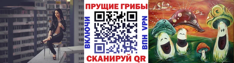 Галлюциногенные грибы Psilocybe  блэк спрут сайт  Мурманск 